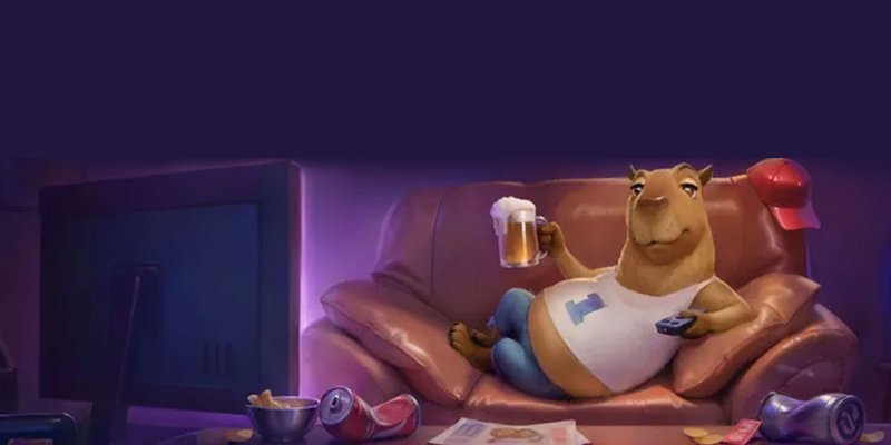 Overview of spinbara login